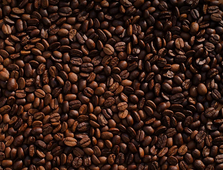 How to Store Your Freshly-Roasted Coffee Beans