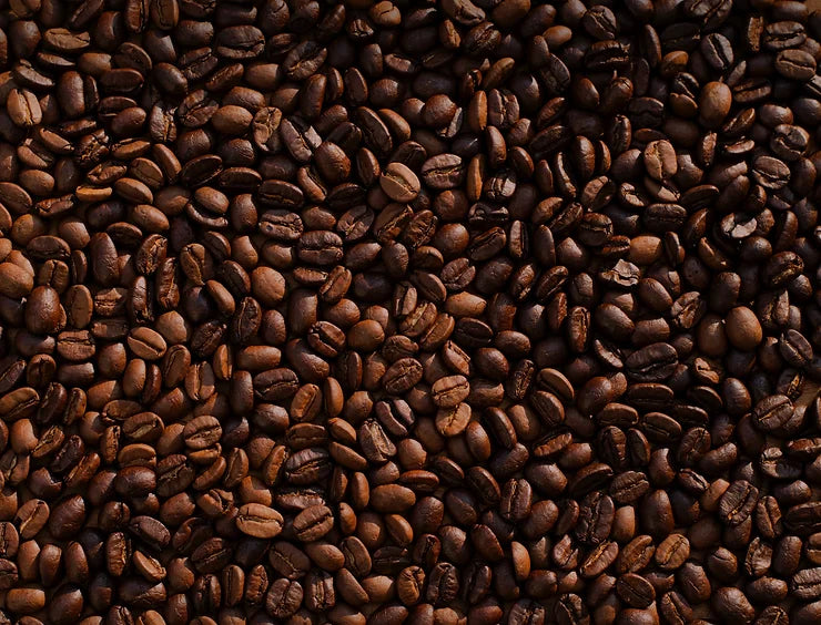 How to Store Your Freshly-Roasted Coffee Beans