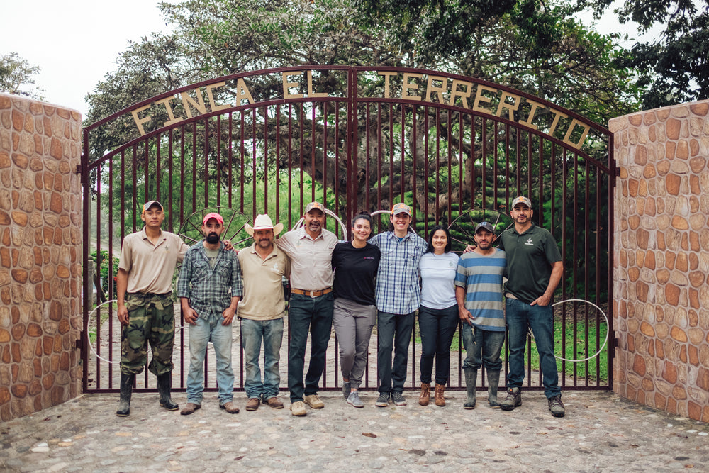 Finca Terrerito- Finca La Unica