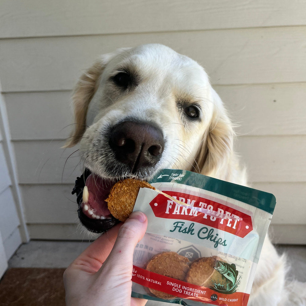 
                  
                    Snack Pack Dog Treat Sampler
                  
                