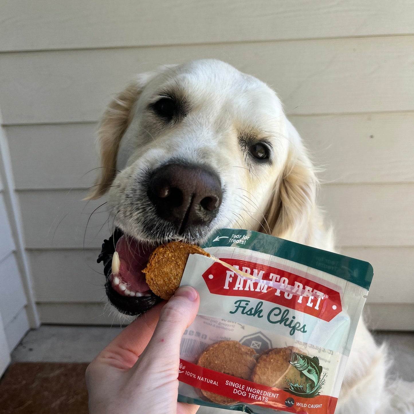 
                  
                    Snack Pack Dog Treat Sampler
                  
                