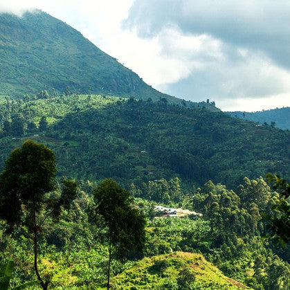 Peru Cajamarca Chasqui