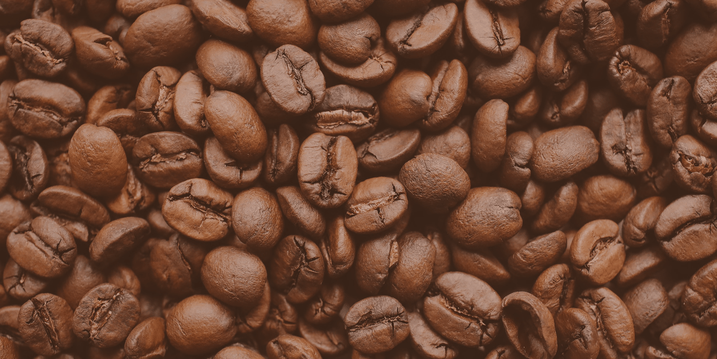 
                  
                    Roast Level Sampler Bundle - Ron's Beans Store
                  
                