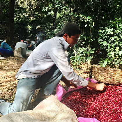 El Salvador - Santa Ana