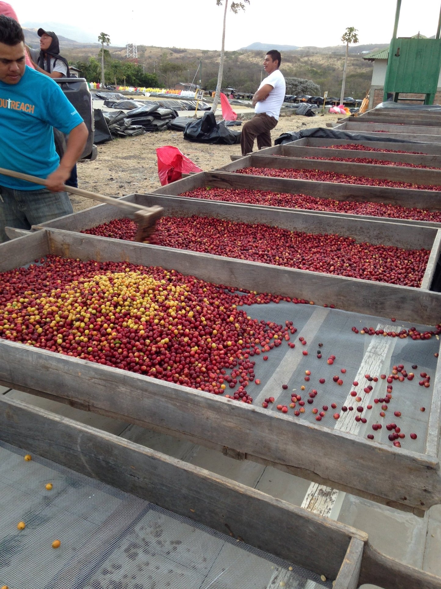 
                  
                    Naturally Neighbors - Nicaragua - Ron's Beans Store
                  
                