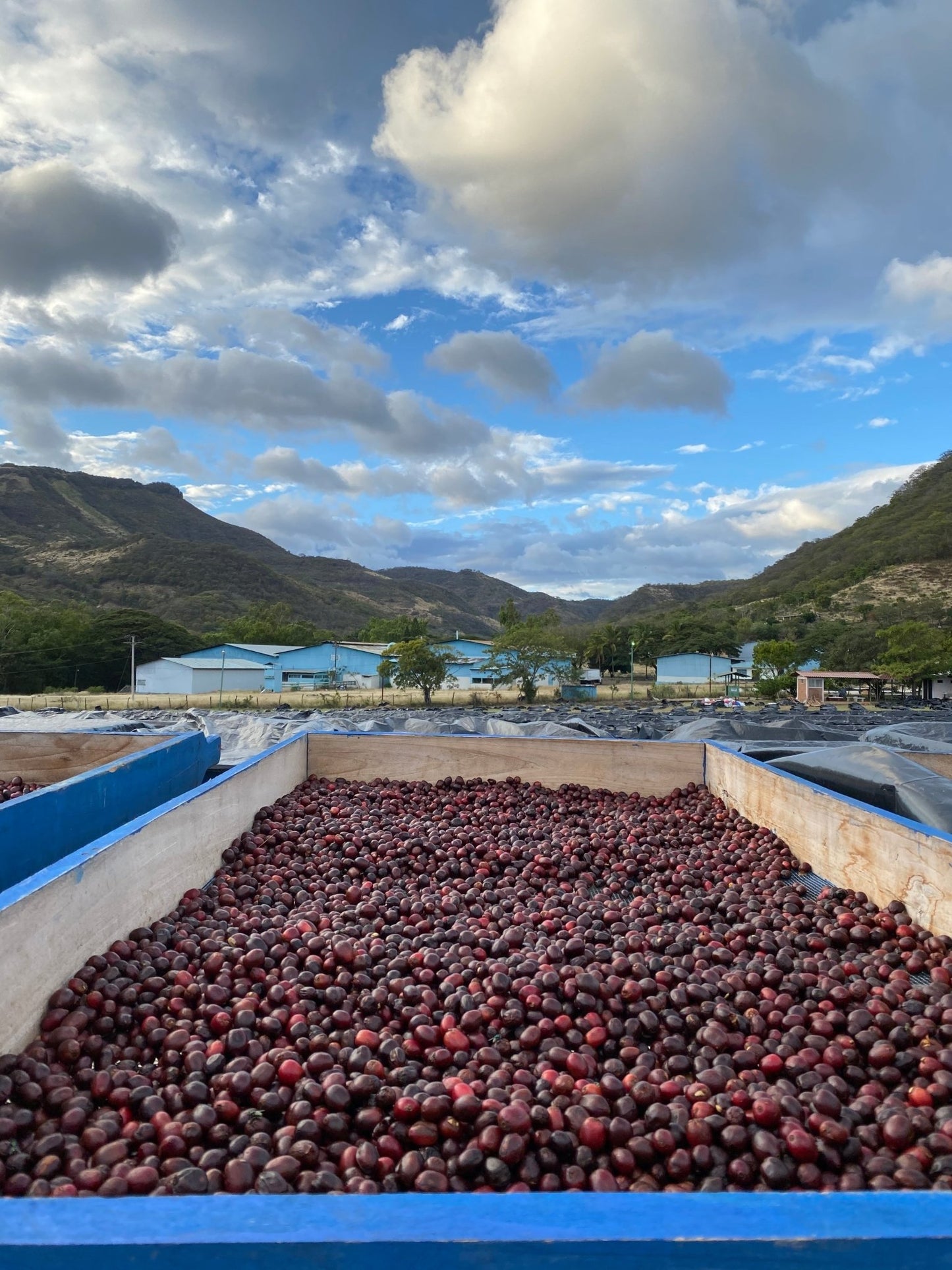 
                  
                    Naturally Neighbors - Nicaragua - Ron's Beans Store
                  
                